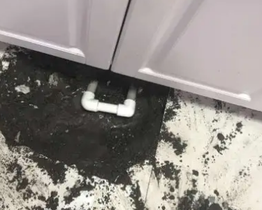 武侯查漏水哪家好
